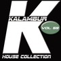 Kalambur House Collection, Vol. 59