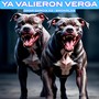 YA VALIERON VERGA (Explicit)