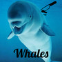 Whales (Explicit)