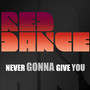 Never Gonna Give You Up - Single