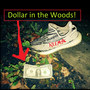 Dollar in the Woods! (Explicit)