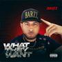 What They Want (Explicit)