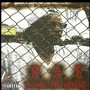 P. A. E. (Plymouth Ave Experience) [Explicit]