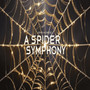 A Spider Symphony