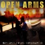 Open Arms (feat. Donald-D)