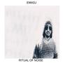 Ritual Of Noise
