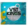 VST Kings (feat. Cleanbeat & King Lee)