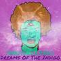 Dreams Of The Indigo (Explicit)