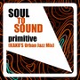 Primitive (Kako's Urban Jazz Mix)