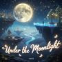 Under the Moonlight