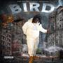 Bird (Explicit)