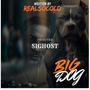 Big Dog