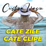 Cate Zile, Cate Clipe