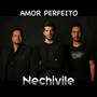 Amor Perfeito (Acústico)