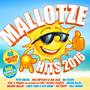 Mallotze Hits 2016