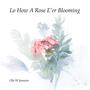 Lo How A Rose E'er Blooming