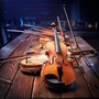 Meditative Harmony: Orchestra Music for Reflection
