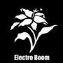 Electro Boom