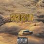 Senseless Pain (Explicit)