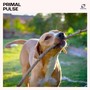Primal Pulse
