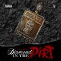 Diamond In The Dirt (Explicit)