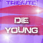 Die Young (Ke$ha Tribute)