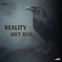 Reality Isn't Real