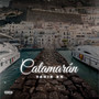 Catamaran (Explicit)