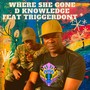 Where She Gone (feat. Triggerdontit)