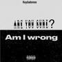 Am I Wrong (Explicit)