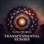 Transcendental Echoes (Mantras of Infinite Awakening)