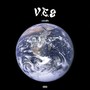 V.e.s (Explicit)