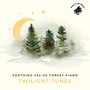 Soothing 432 Hz Forest Piano: Twilight Tunes