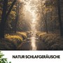 Natur Schlafgeräusche: Melodische Traumlandschaften