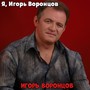 Я, Игорь Воронцов