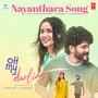 Nayanthara Song (From 