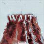 Wait (feat. Dallen) [Explicit]