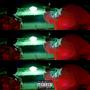 Belly (feat. Kamari.) [Explicit]