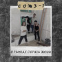 В Рамках Образа Жизни (Explicit)