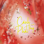 Cánh Hồng Phai (Beat) (Lofi Mix)