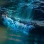 Healing Waters