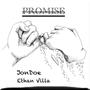 PROMISE (Explicit)