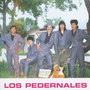 Los Pedernales