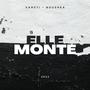 Elle monte (feat. Vansti) [Explicit]