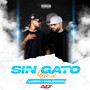 Sin Gato (REMIX)