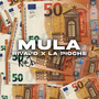 Mula