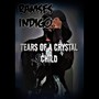 Tears of a Crystal Child (Explicit)