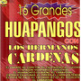 16 Grandes Huapangos