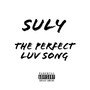 The Perfect Luv Song (Explicit)