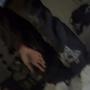 stick (Explicit)